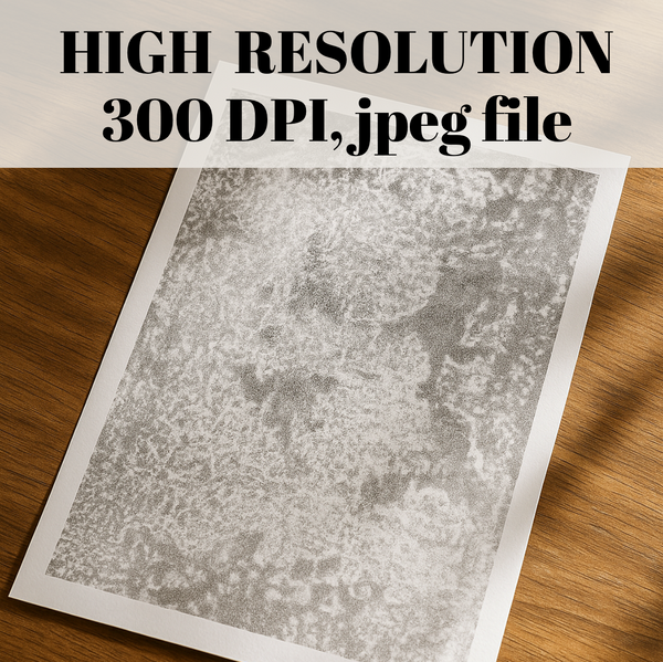 Black and White Abstract Painting – Earthy Abstract Digital